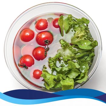 Dicas Desifecção Frutas Verduras